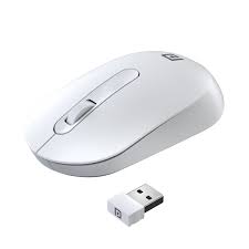 Portronics Toad 13 2.4 GHz Wireless Optical Mouse with USB Nano Receiver, 1200 DPI Resolution Optical Sensor