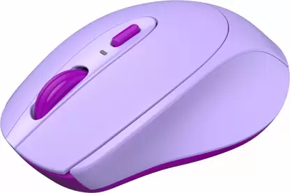 Portronics Toad 31 with Receiver, Ergonomic Design Wireless Optical Mouse