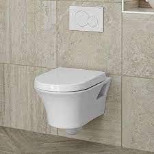 Wall hung WC